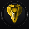 Offre COBRA IPTV